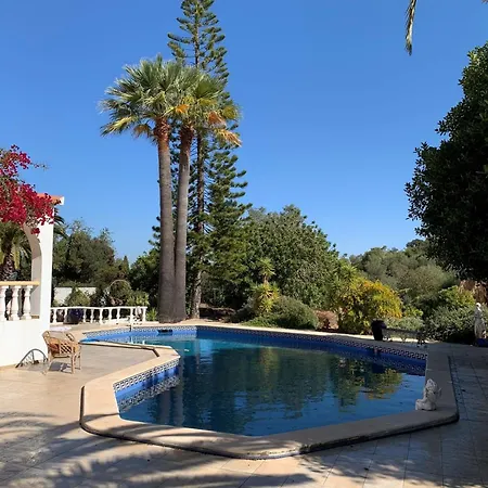 Studio De La Casa Paraiso Avec, En Plus, Une Terrasse Privative Exterieure Semi Couverte Equipee D'Un Salon D'Un Coin Repas D'Une Kitchenette, La Grande Piscine Et Les Jardins Sont Partages, A Proximite Des Plages De Fuseta Et De La Ria Formosa Moncarapacho Exterior photo
