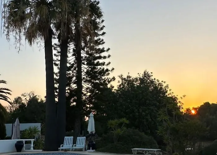 Studio De La Casa Paraiso Avec, En Plus, Une Terrasse Privative Exterieure Semi Couverte Equipee D\'Un Salon D\'Un Coin Repas D\'Une Kitchenette, La Grande Piscine Et Les Jardins Sont Partages, A Proximite Des Plages De Fuseta Et De La Ria Formosa