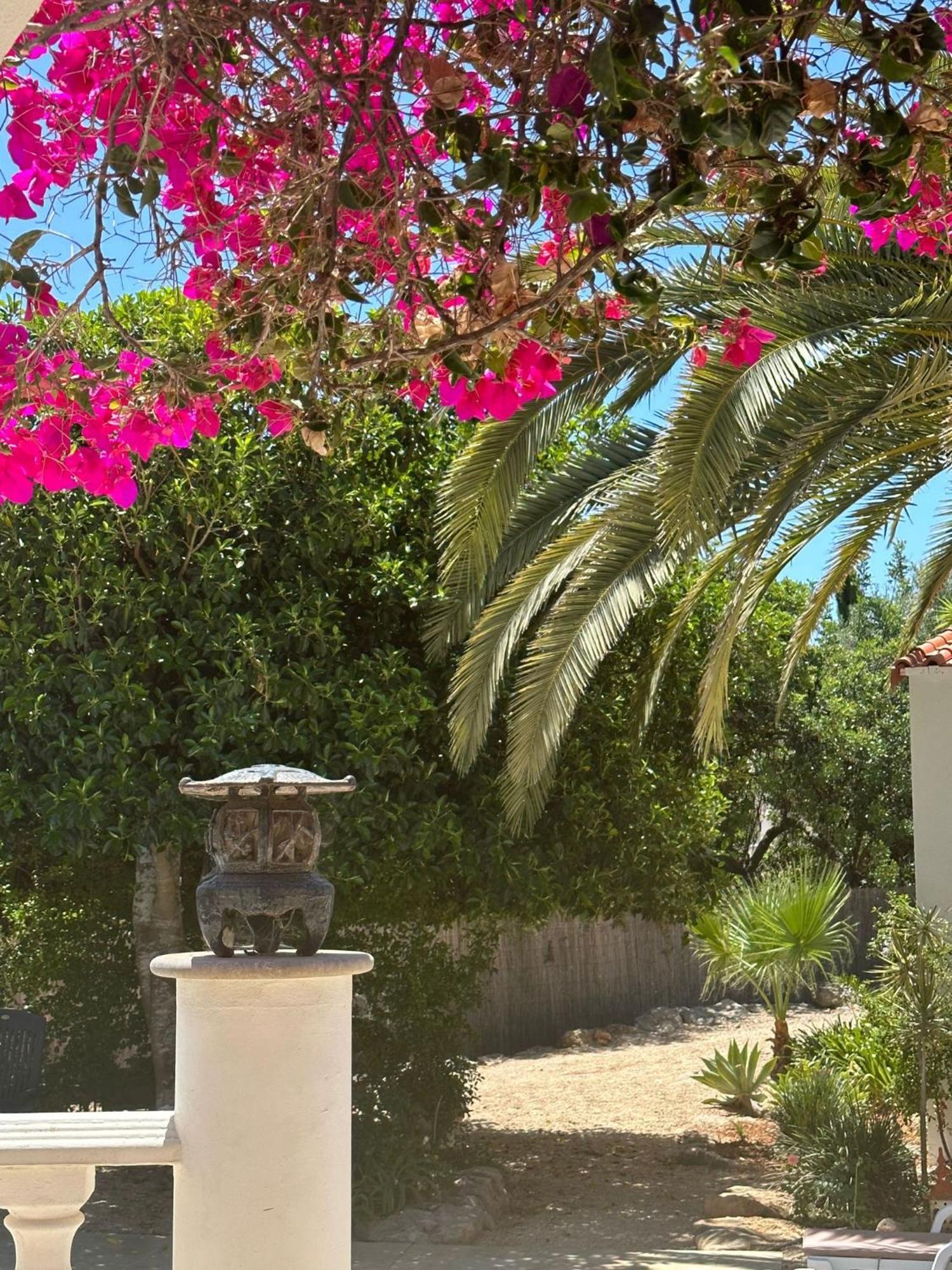 De La Casa Paraiso Avec, En Plus, Terrasse Privative Exterieure Semi Couverte Equipee D'un Salon D'un Coin Repas D'une Kitchenette, La Grande Piscine Et Les Jardins Sont Partages, A Proximite Des Plages De Fuseta Et De La Ria Formosa *