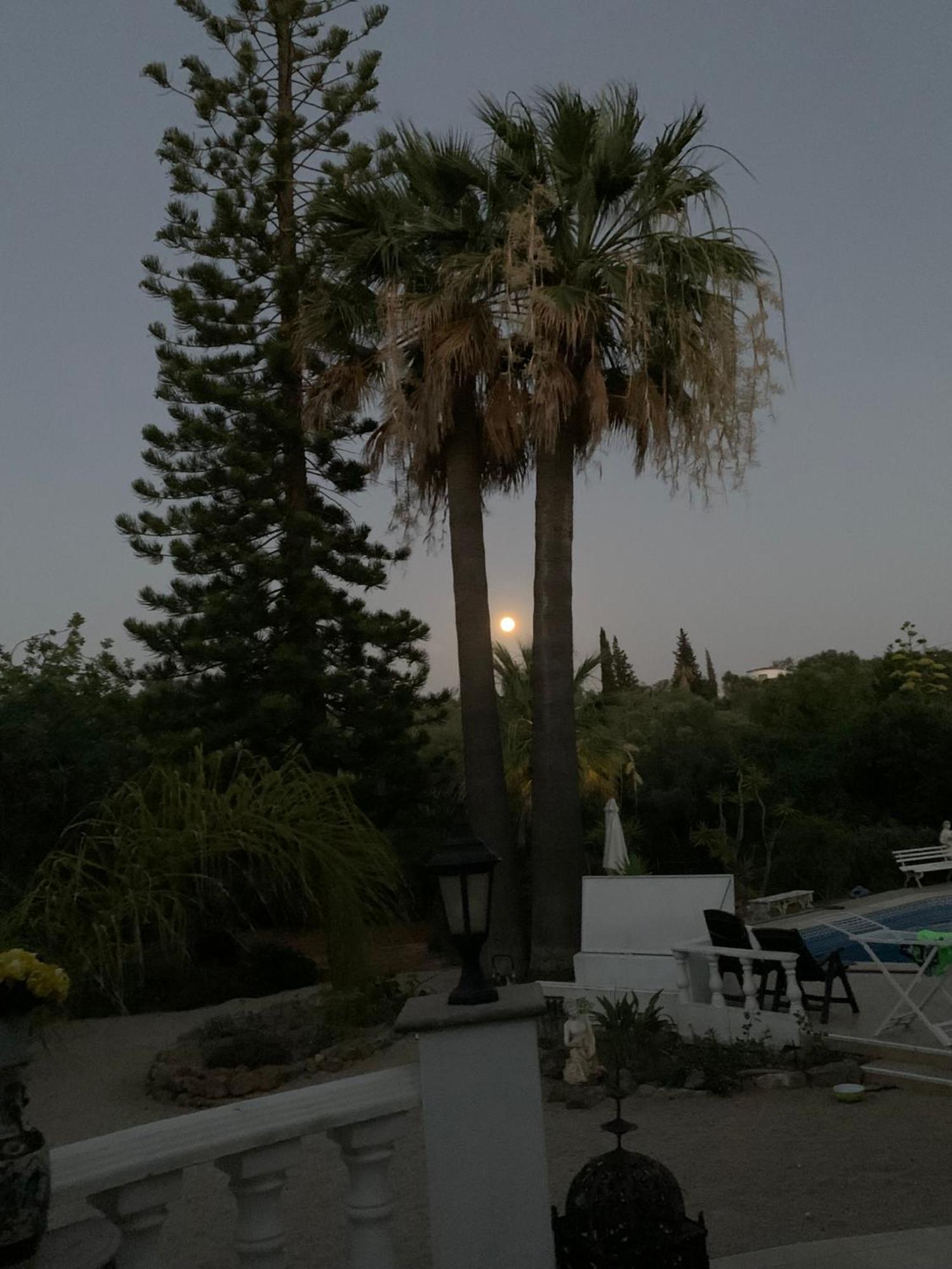 Holiday home De La Casa Paraiso Avec, En Plus, Terrasse Privative Exterieure Semi Couverte Equipee D'un Salon D'un Coin Repas D'une Kitchenette, La Grande Piscine Et Les Jardins Sont Partages, A Proximite Des Plages De Fuseta Et De La Ria Formosa *