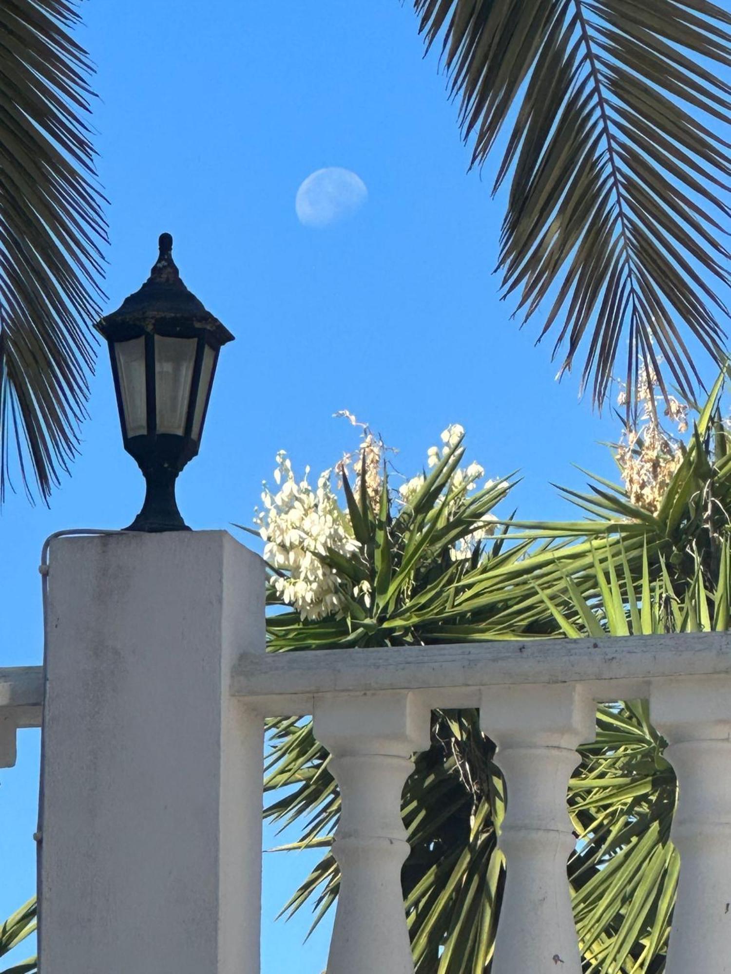 De La Casa Paraiso Avec, En Plus, Terrasse Privative Exterieure Semi Couverte Equipee D'un Salon D'un Coin Repas D'une Kitchenette, La Grande Piscine Et Les Jardins Sont Partages, A Proximite Des Plages De Fuseta Et De La Ria Formosa