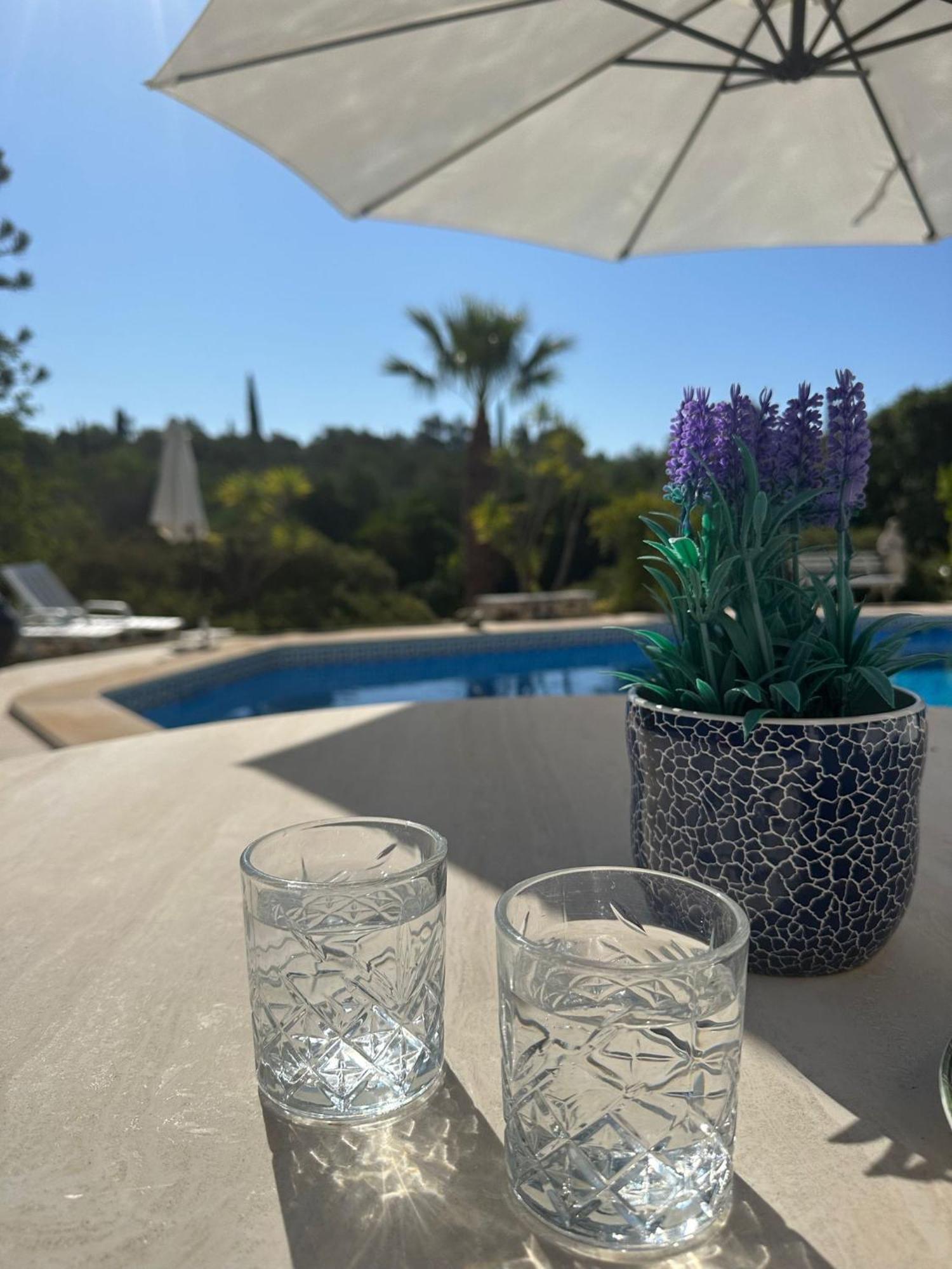 De La Casa Paraiso Avec, En Plus, Terrasse Privative Exterieure Semi Couverte Equipee D'un Salon D'un Coin Repas D'une Kitchenette, La Grande Piscine Et Les Jardins Sont Partages, A Proximite Des Plages De Fuseta Et De La Ria Formosa * Moncarapacho