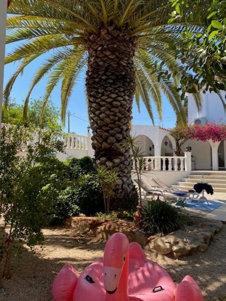 De La Casa Paraiso Avec, En Plus, Terrasse Privative Exterieure Semi Couverte Equipee D'un Salon D'un Coin Repas D'une Kitchenette, La Grande Piscine Et Les Jardins Sont Partages, A Proximite Des Plages De Fuseta Et De La Ria Formosa Holiday home